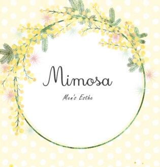 mimoza (ミモザ) りな