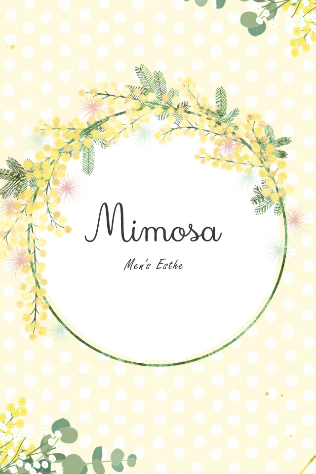 mimoza (ミモザ) りな