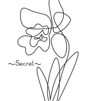 Cattleya 岐阜 (カトレヤ) まりな