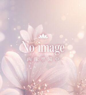 ティラミス えり